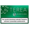 Wkłady tytoniowe TEREA GREEN (10)
