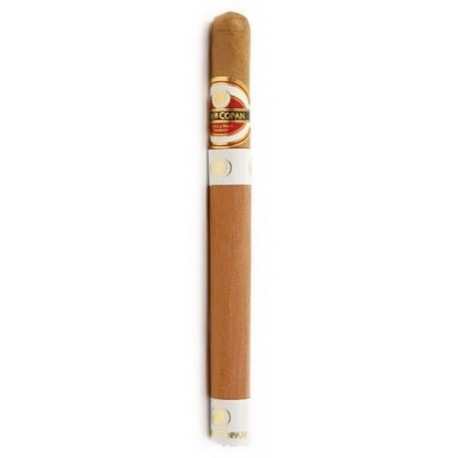 Cygaro FLOR DE COPAN DEMI TASTE